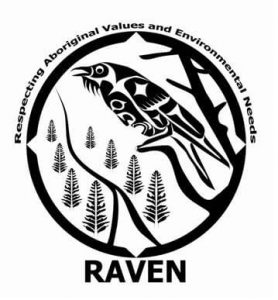 RAVEN logo