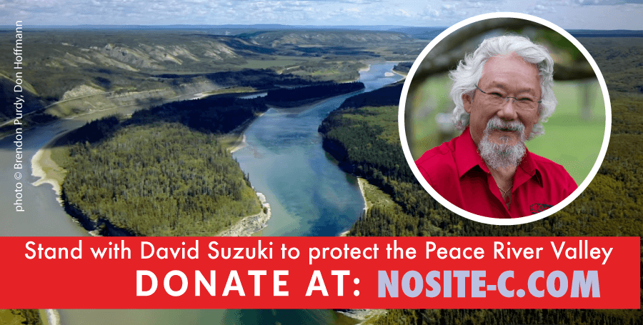 David Suzuki pledges to stop Site C dam