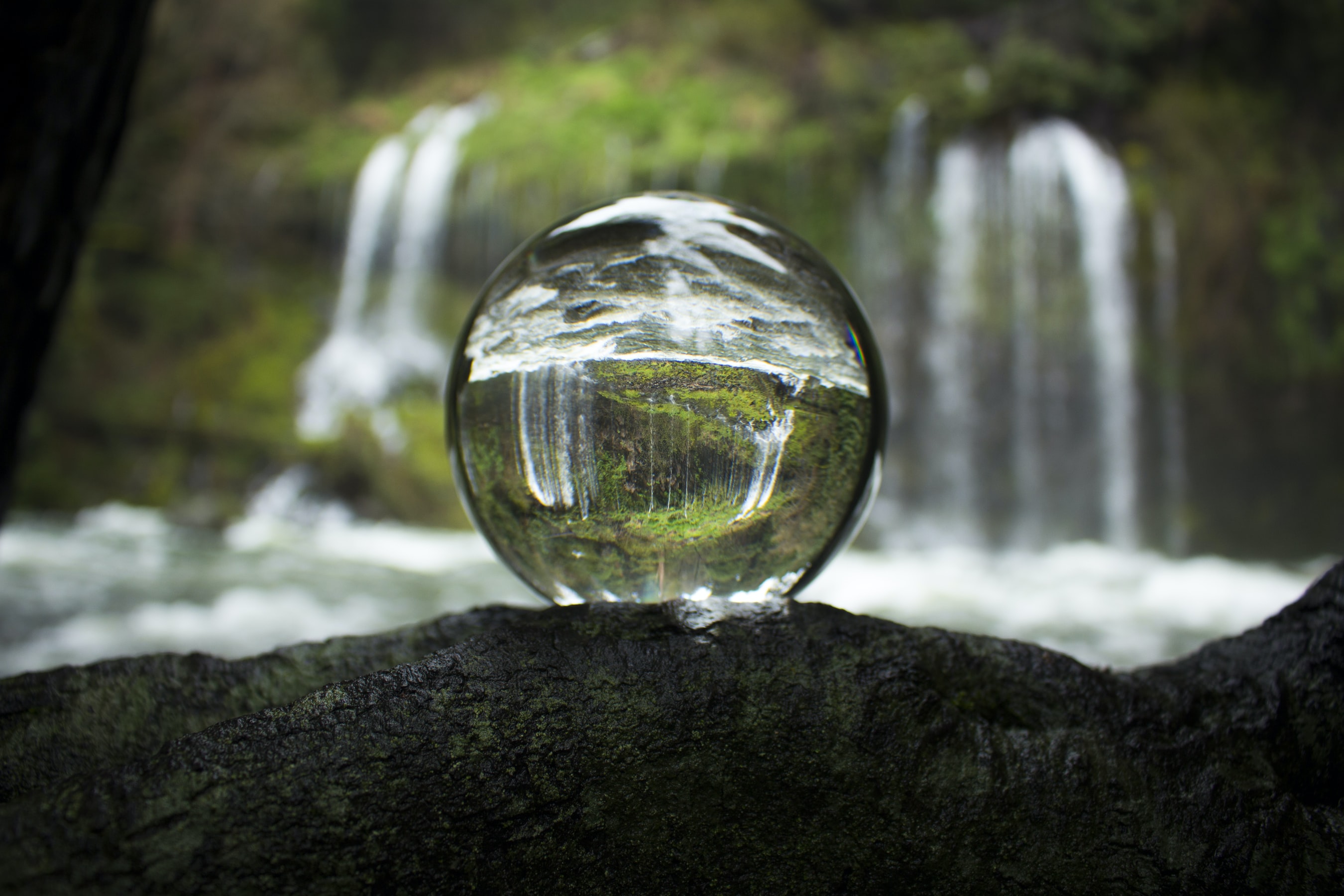 Ecosystem and Human Well-Being Are Threatened in the Chilcotin
