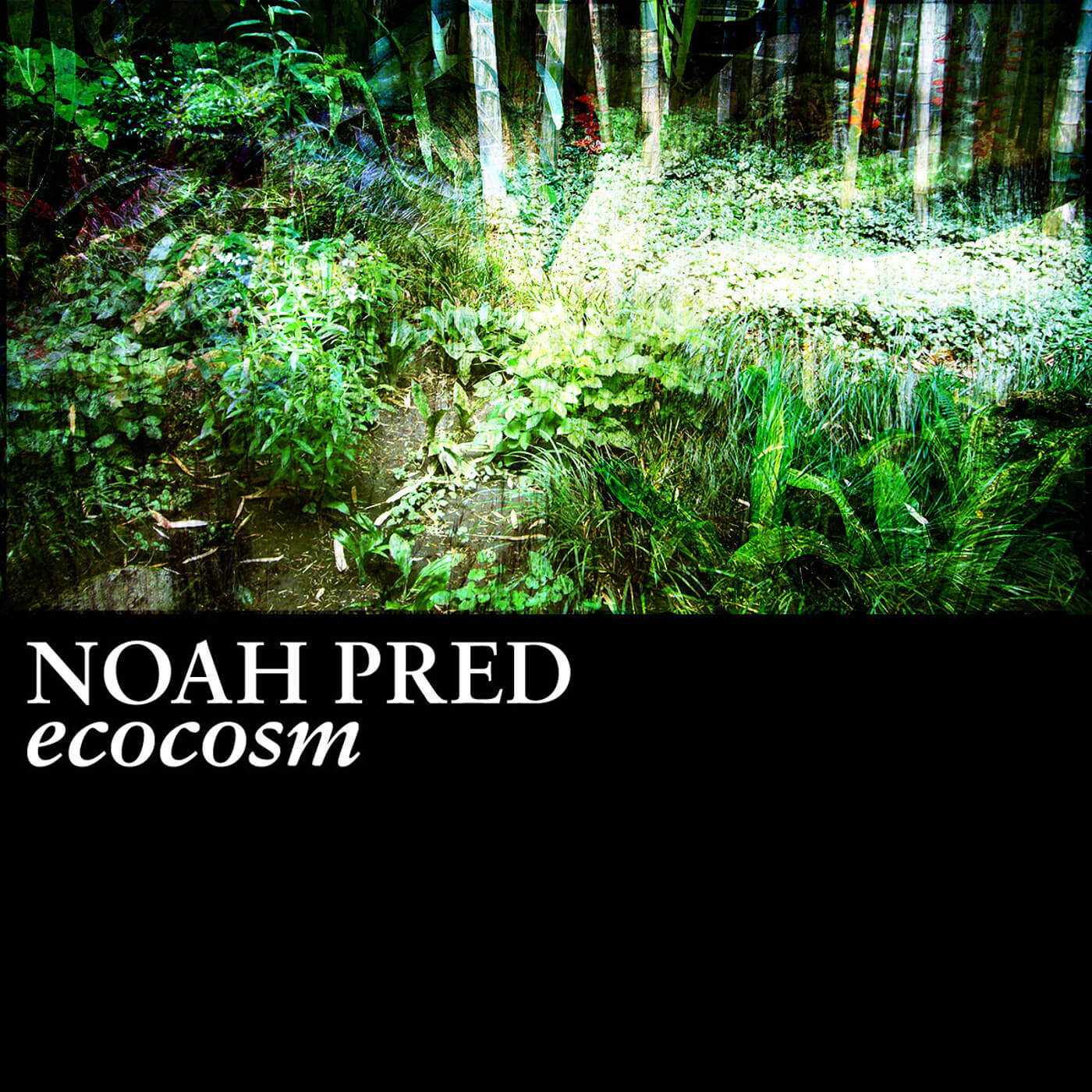 Juno Nominee Noah Pred re-releases “Ecocosm” to benefit RAVEN