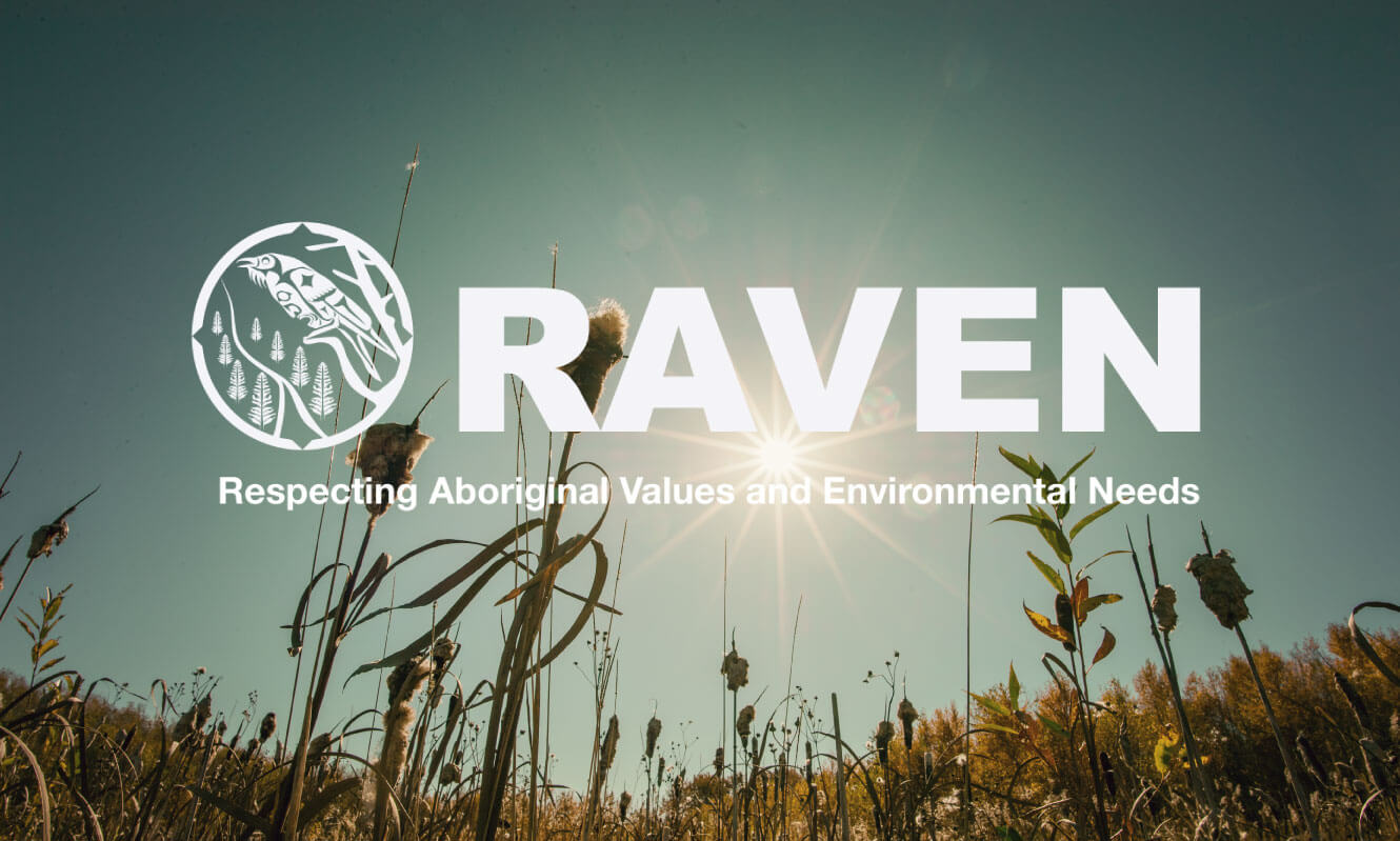 Work with RAVEN!   We’re looking for a Digital Communications Coordinator