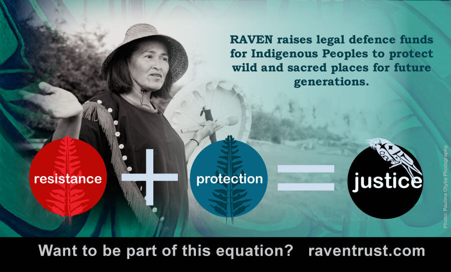 Looking for a Development Coordinator for RAVEN