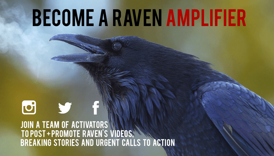 Want more legal victories for people and planet? Become a RAVEN Amplifier