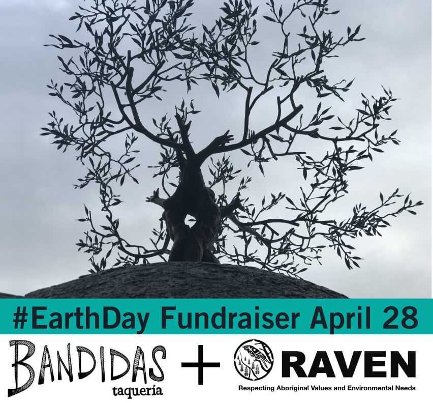 Bandidas Taqueria Earth Day Fundraiser