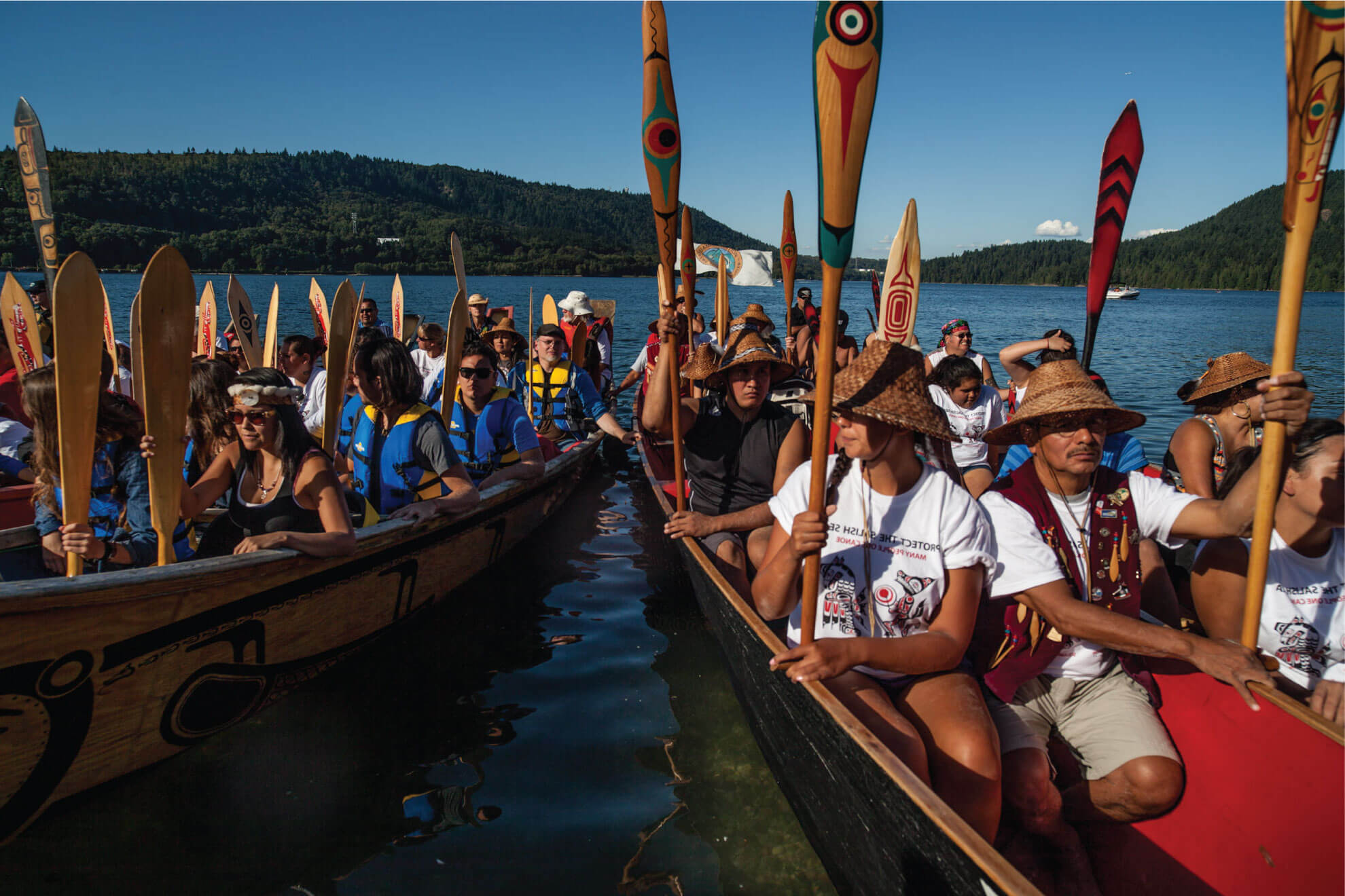 The People v. Trans Mountain