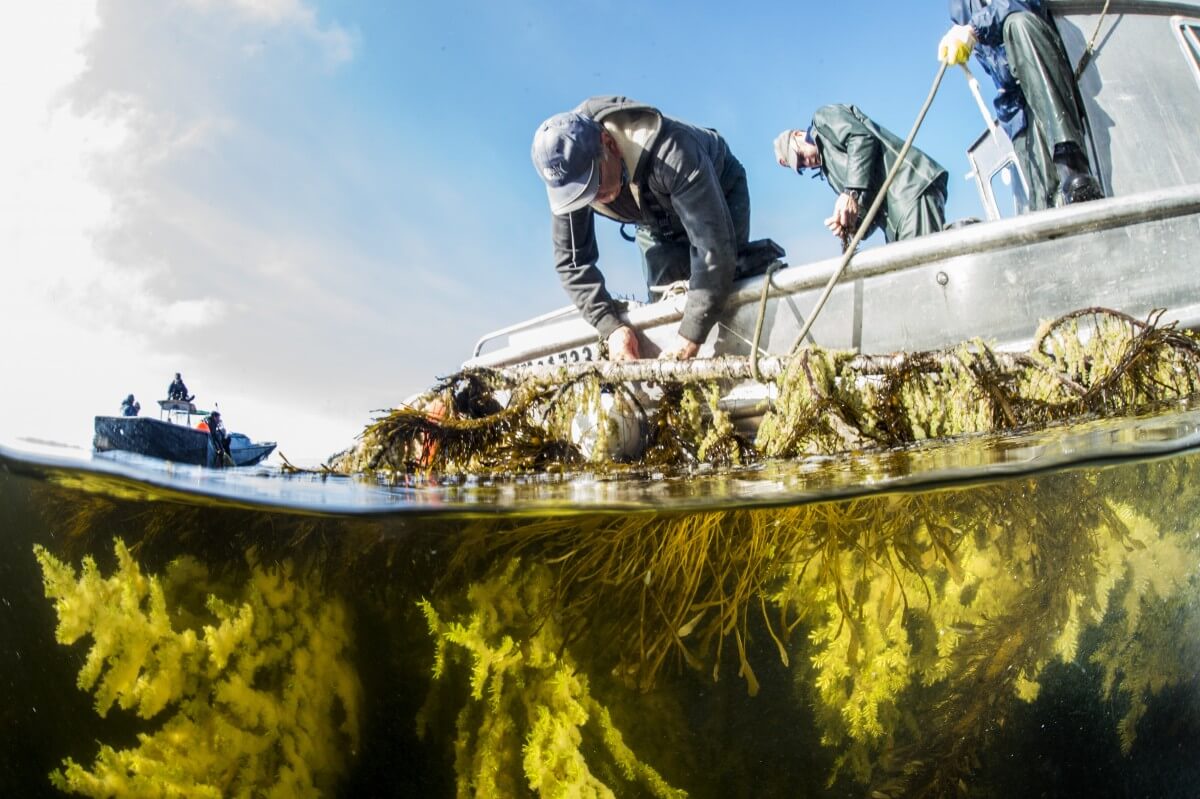 The Landmark Gladstone Case