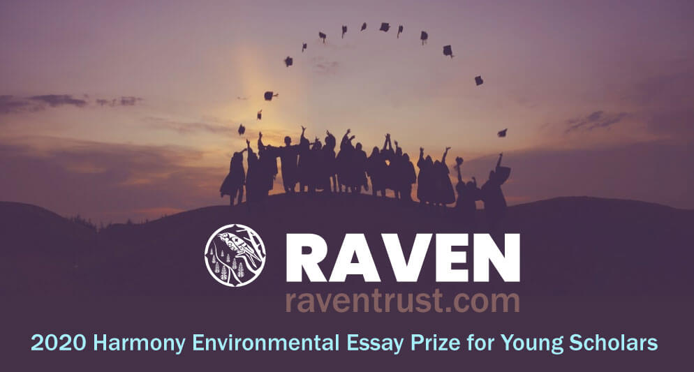 Harmony Foundation Young Scholars Essay Prize Now Open for submissions!