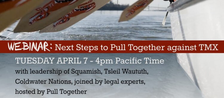 Pull Together vs. TMX: a Legal Briefing and Q&A