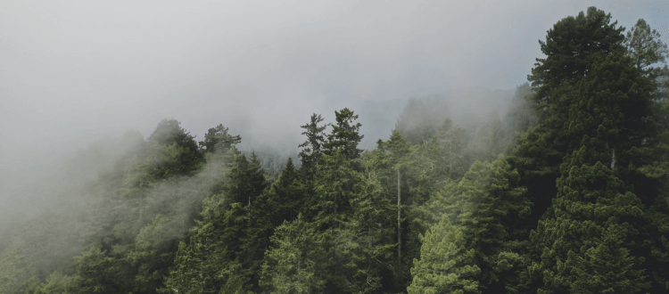 What you need to know about Delgamuukw vs. British Columbia