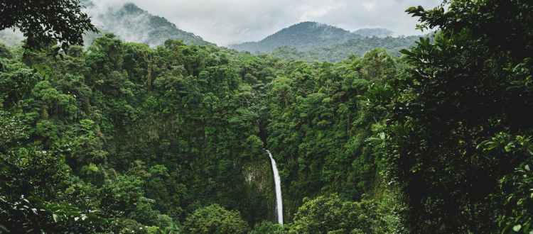 The Earth Day Conversation We Should All Be Having: Indigenous Sovereignty is Inextricable from Climate Justice