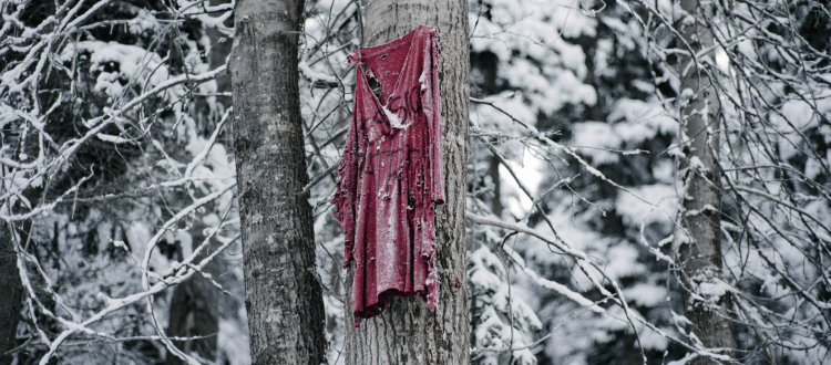 National Day of Awareness for Missing & Murdered Indigenous Women and Girls Necessitates Action