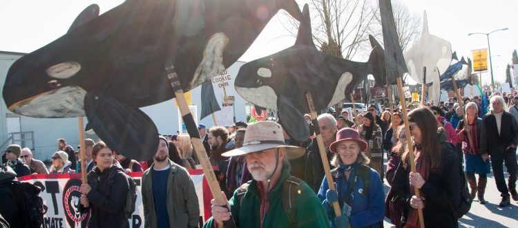 Orca soundings and the seeds of regeneration