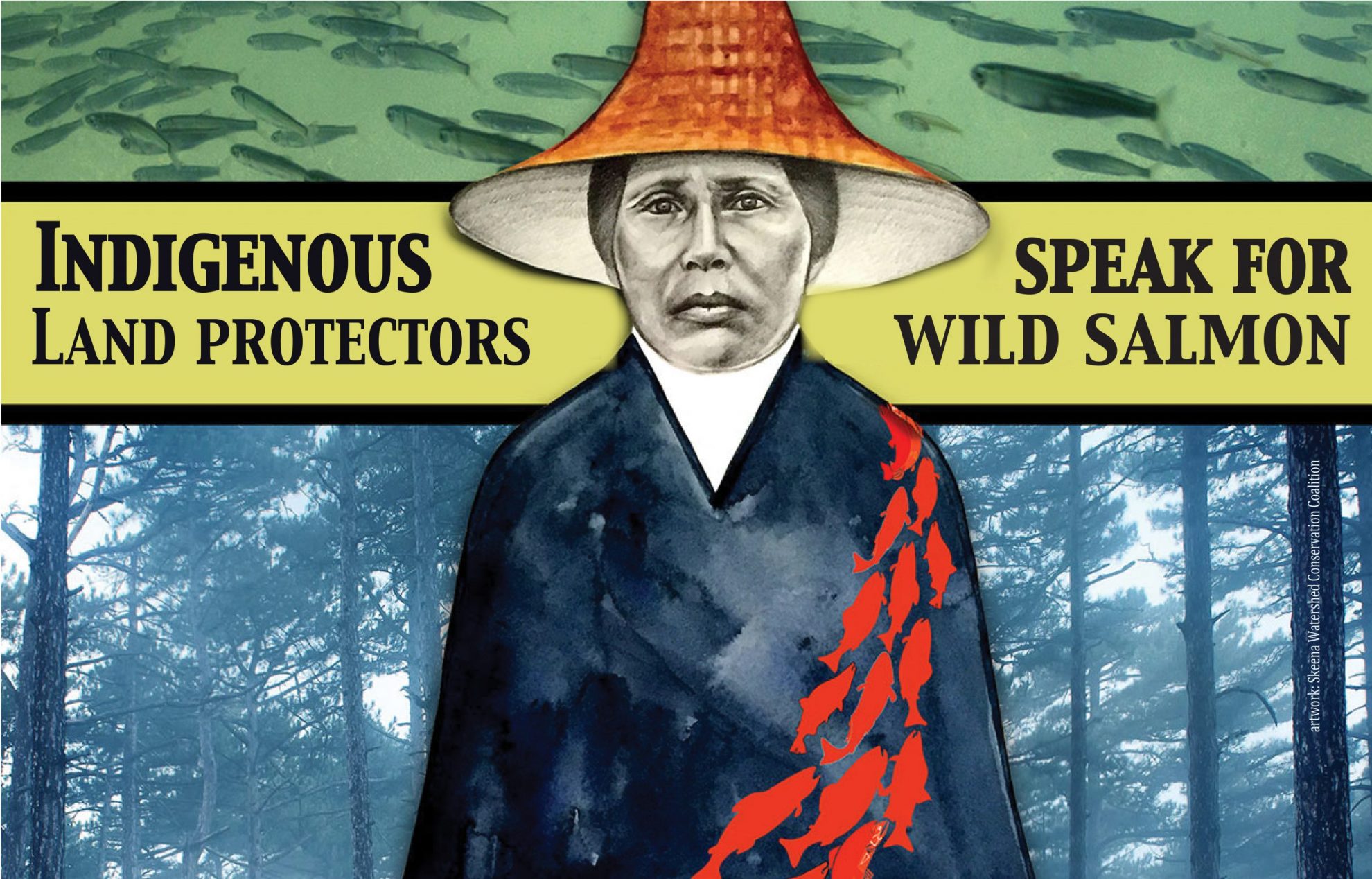 Defending Wild Salmon