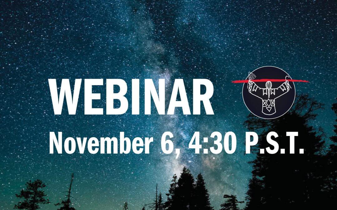 Learn Cutting Edge Online Fundraising + Organizing Strategies: Webinar!