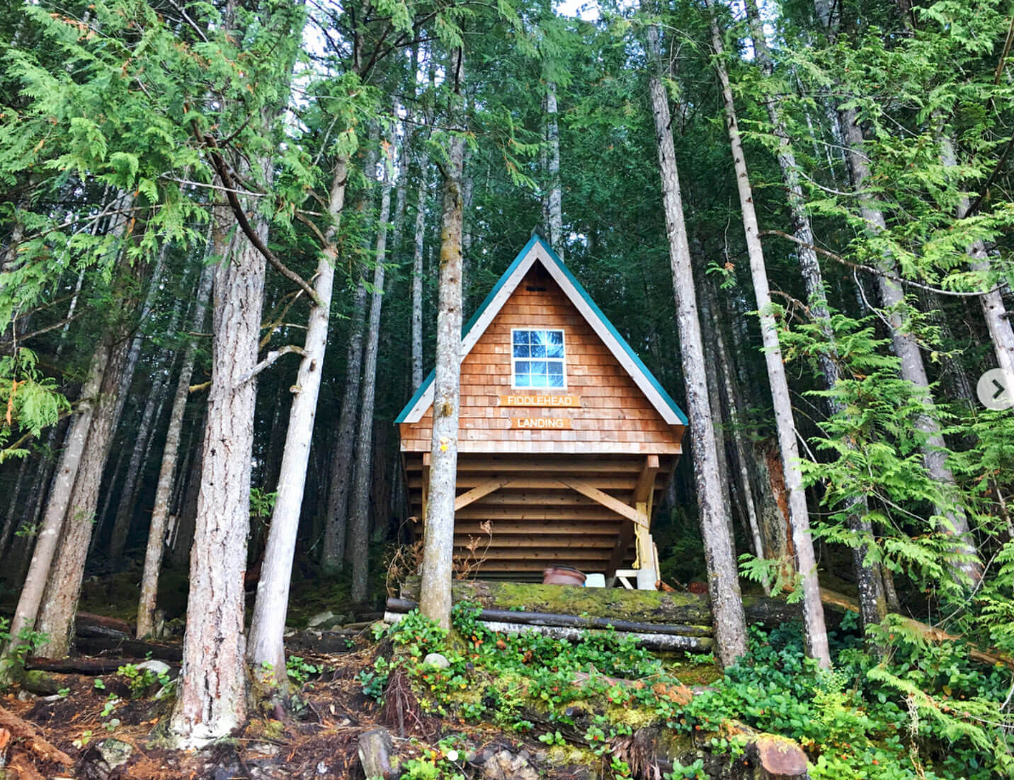 Sunshine and snowshoes: stories from Celia Walker’s epic fundraising hike