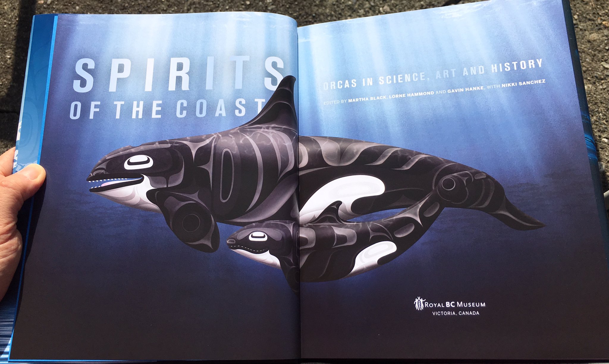 What Impacts the Orcas Will Impact Us All
