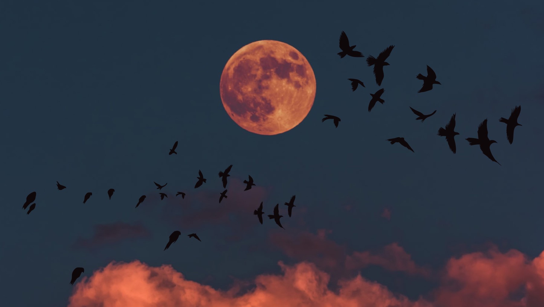 Found in translation: new perspectives on RAVEN’s mission