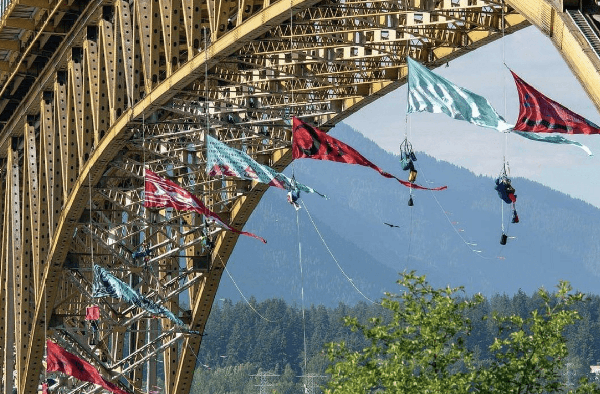 Mobilizing passion into action with Mary Lovell