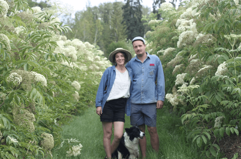 Elderberry Farmers in Solidarity with Secwepemc