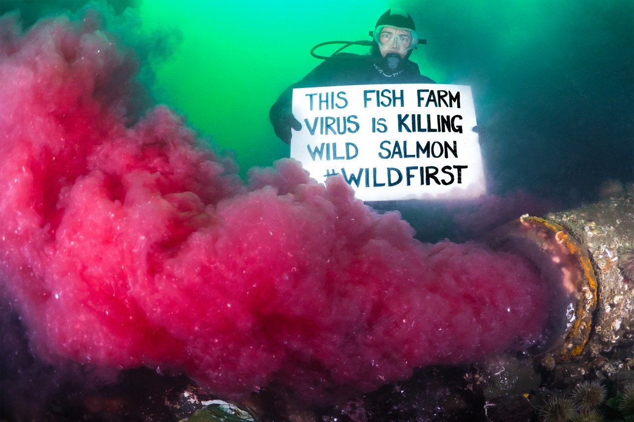 Who will speak for those who swim?