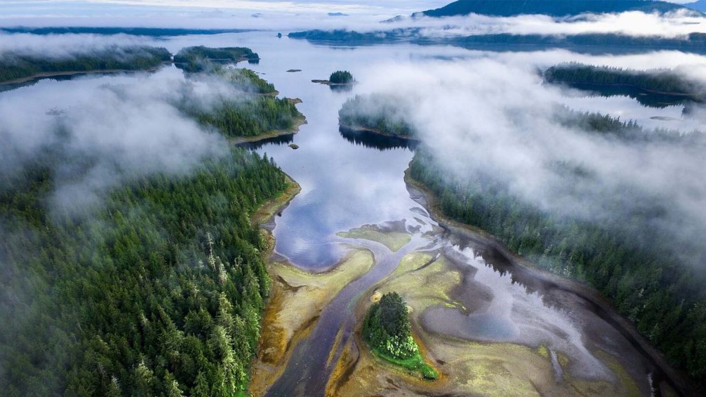 Hauyat by Hakai Institute - from the Haíɫzaqv Climate Action gallery