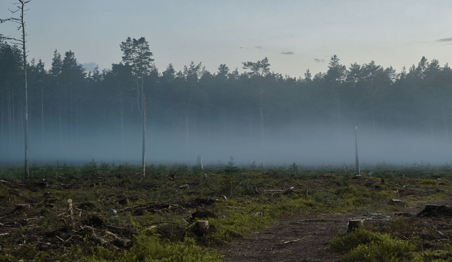 Webinar: Environmental Racism – A Story of Colonization and Ecocide