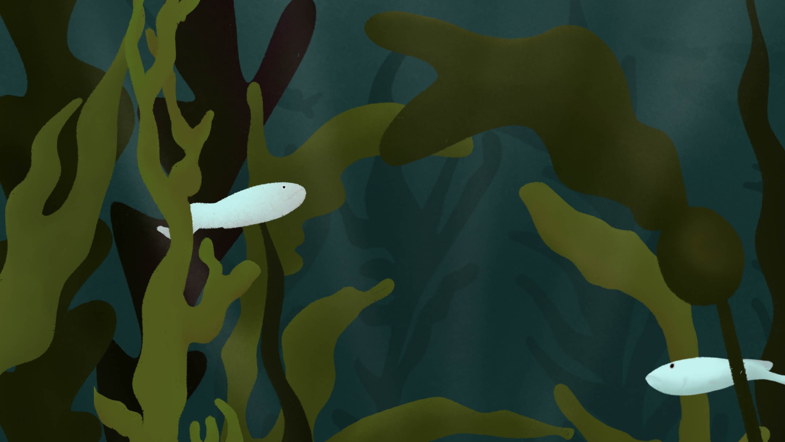 Infographic: The Ecosystem of Kelp, the life cycle of a legal precedent