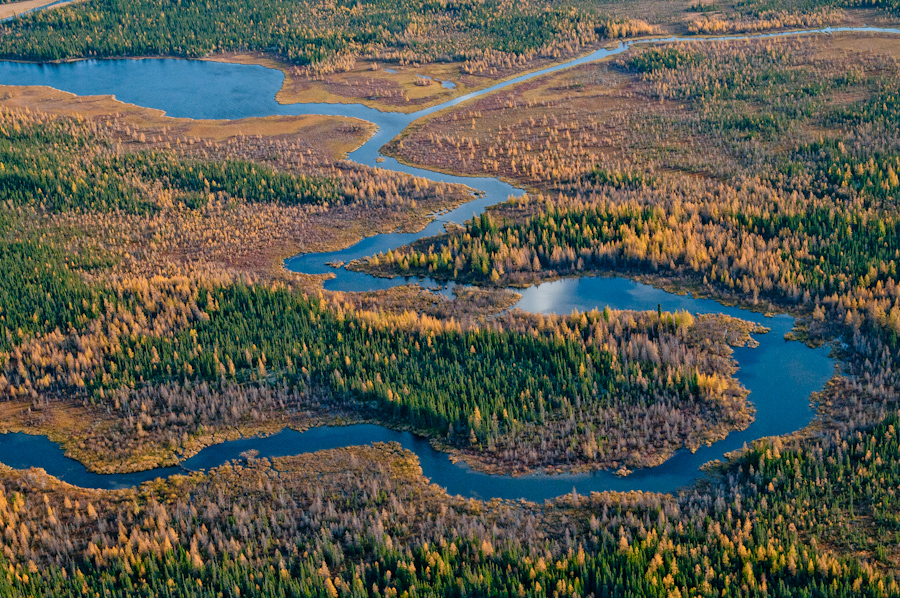 Awakening Earth: supporting Indigenous land & water protectors this Earth Day