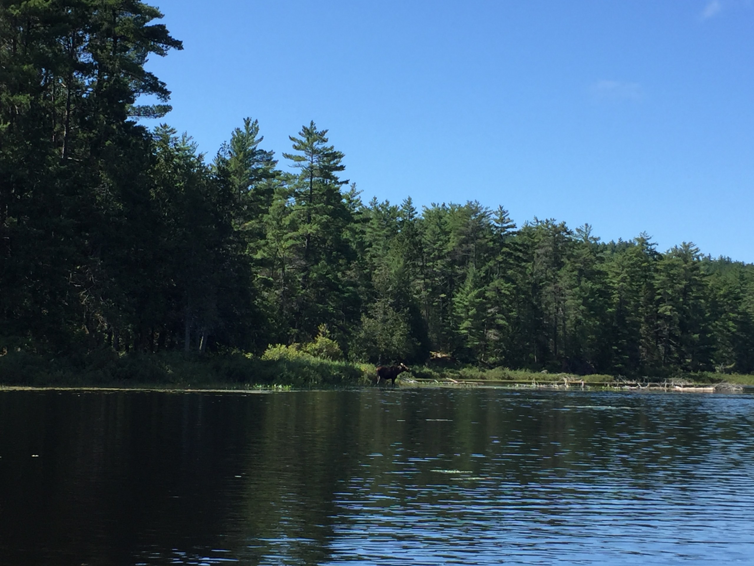 Indigenous-led Assessment Urges Relocation of Radioactive Waste Dump from Ottawa River