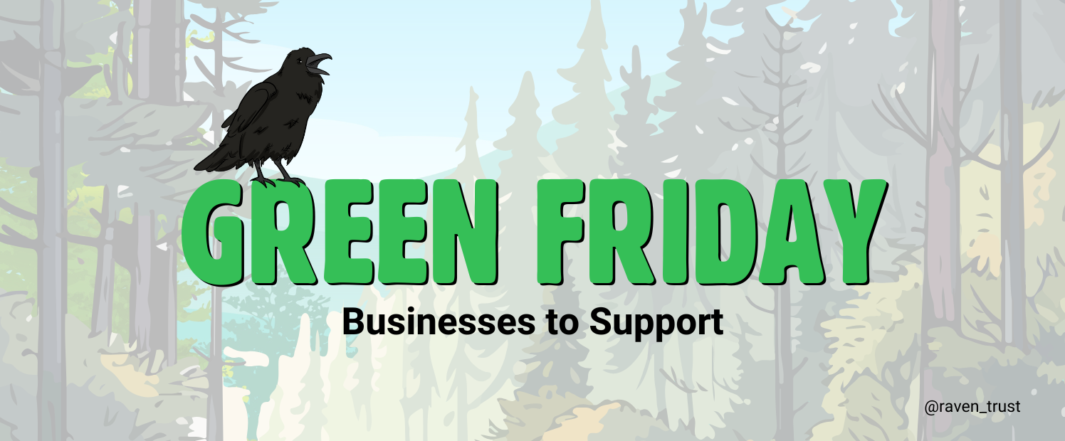 It’s Green Friday: Conscious Shopping for the Holidays