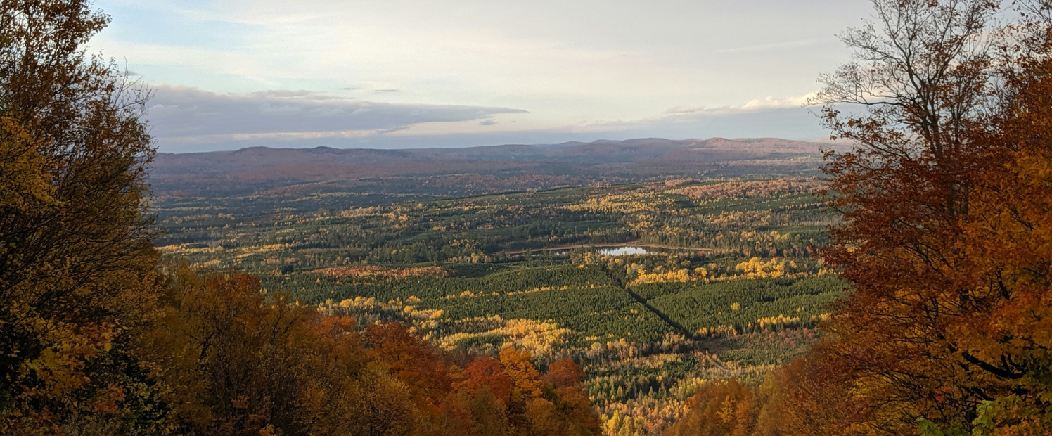 Wolastoqey Nation’s Big Next Step in Aboriginal Title, and What That Means for Private Property